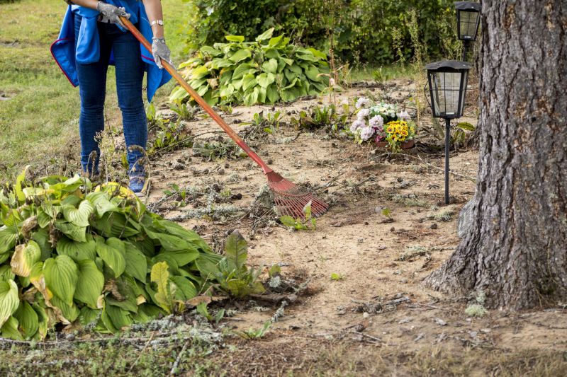 Local Pathway Clearing pros at work